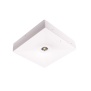 Oprawa awaryjna STARLET QUAD LED do niskich stref otwartych SQ INTELIGHT z baterią centralną