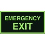 Znak emergency exit  AC 002